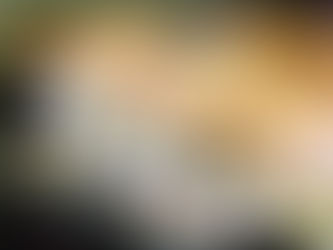 House of Vegano Unveils Sensationally Superlative Sushi Selection in St. Petersburg