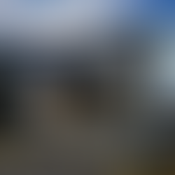 Huckleberry New Zealand