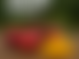Japan’s Miyazaki “Egg of the Sun” Mangoes visual media