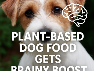 Ai Powered pet food visual media showing Arvi