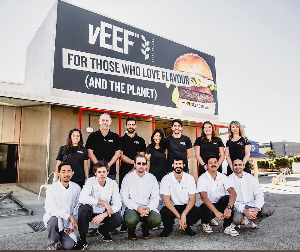 vEEF staff