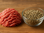 PFN Ai Archive depicting animal meat and green lentils.