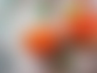 Seaweed & BioLab Caviar The New Ethical Luxury?