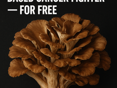Mushroom-based cancer fighter visual