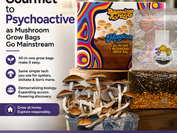 Psychoactive_Mushroom_Grow_Bag_Media_Slide