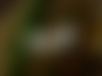 Steakholder Foods & Bondor Foods Sign Deal to Launch 3D-Printed Fish & Meat