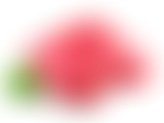 A Fish Called Wanda Catches $7-Million To Land Sustainable Bluefin On Our Plates