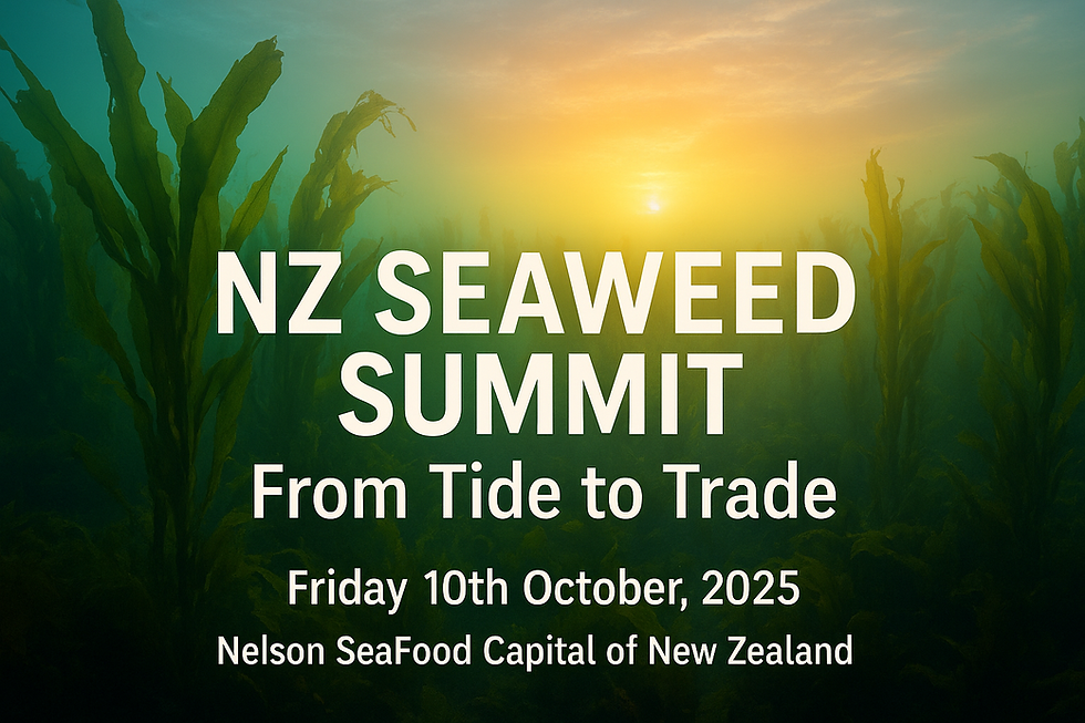 NZ Seaweed Summit Visual