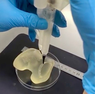 Kombucha BioInk BioPen