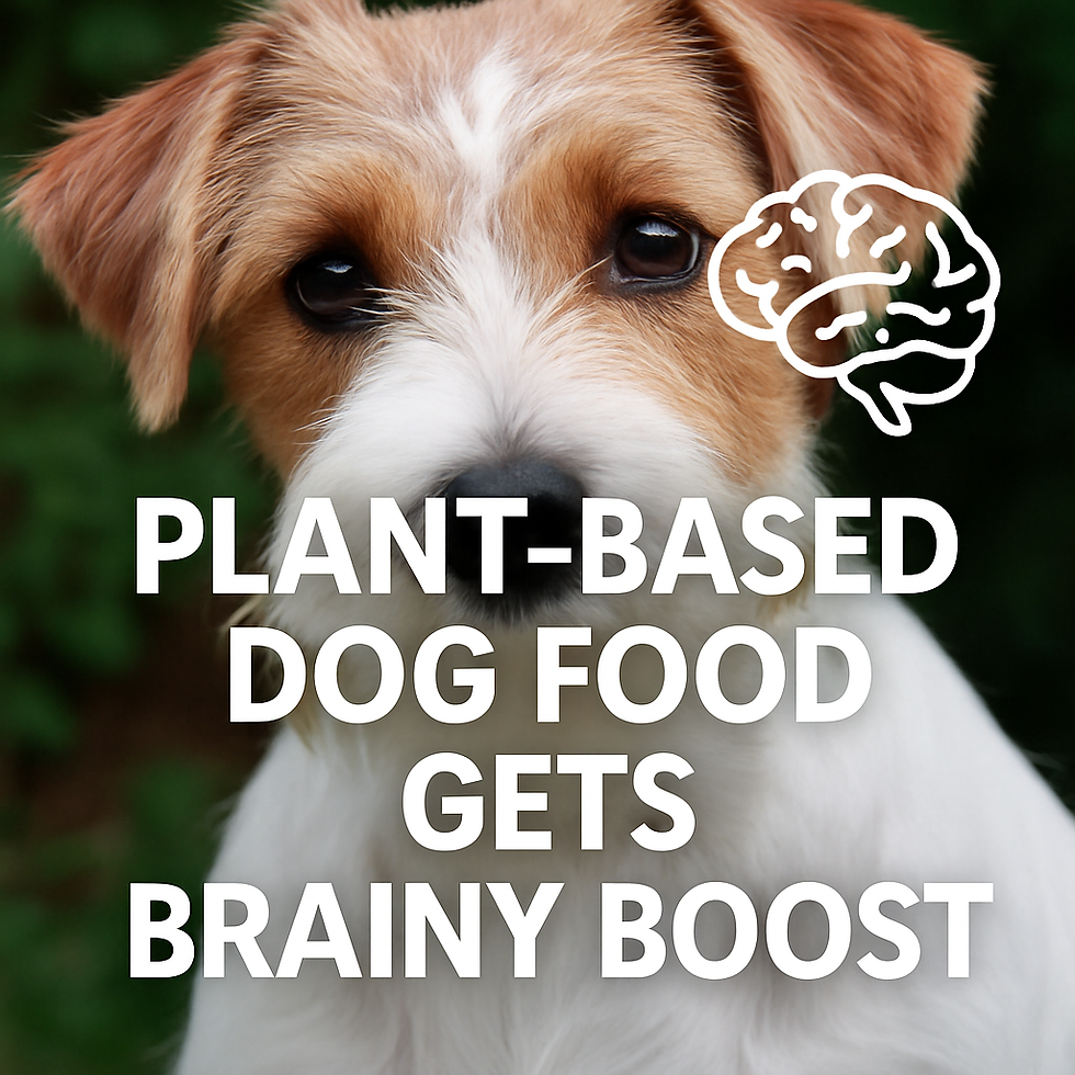 Plant-based Ai dog food visual media 