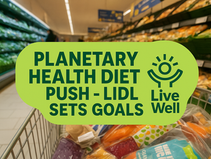 Planetary Health Diet Visual