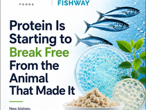 EverAfter_Fishway_Media_Slide