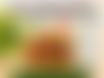 PB_Meat_Adelaide_Study_Media_Slide