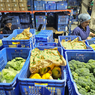 Kisan Konnect Food packing