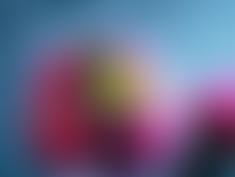 Voting Is Open For The 2024 NZ Dairy Free Awards