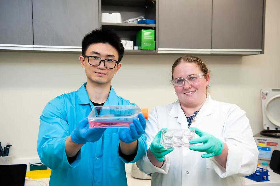 University hybrid meat researchers 
