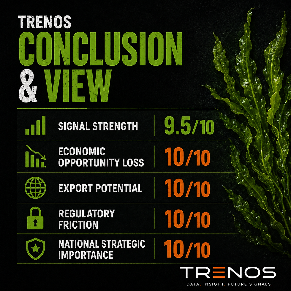 How New Zealand Regulated Away a Billion-Dollar Seaweed Opportunity Conclusion & View Media Slide