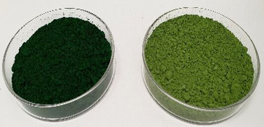 Scion -showing algae production and end product