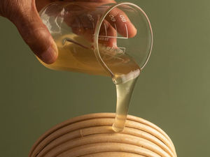 Has Zerocircle Invented a Seaweed Plastic to Replace Petroleum-Based Products?