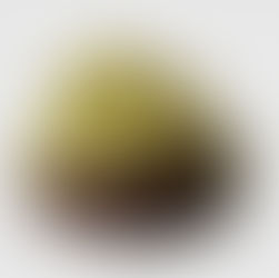 Eurocaviar Seaweed Spheres