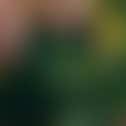 Fifth Harvest Greens