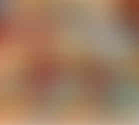 NZ vegan cheese selection