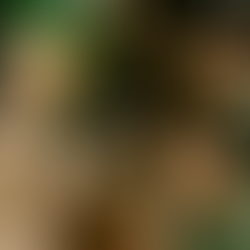  PFN Ai Archives - Malak Al Tawouk - Various 