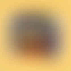 FROOM mushroom mince