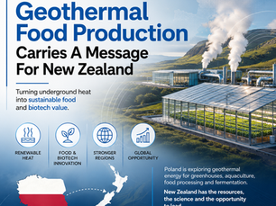 Polish_Geothermal_Food_Media_Slide