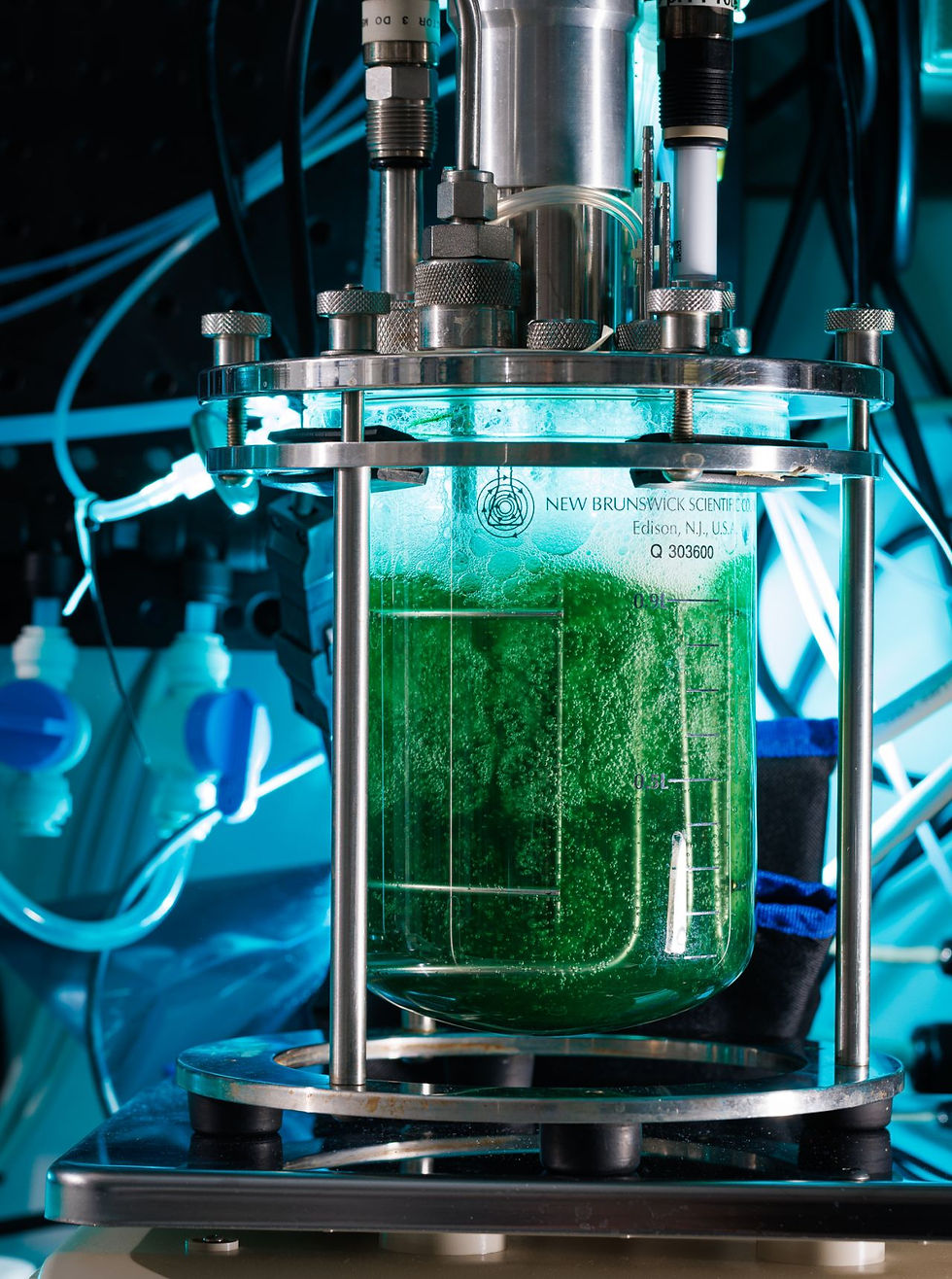 Scion -showing algae production and end product