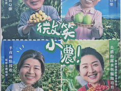 Carrefour fruit advertising