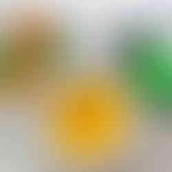 Denmark-Reduced Vegetable Concentrate