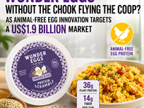 WunderEggs_Market_Media_Slide