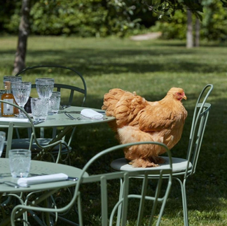 Relais & Chateaux 'Plant The Future' Hen