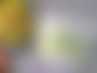 Spreading Success as Feliz's Vutter Aims to Hit Australian Market