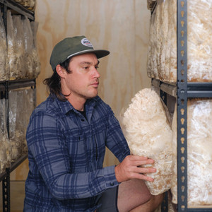 Mushrooms by the Sea - Lions Mane left and Sean Mills right.