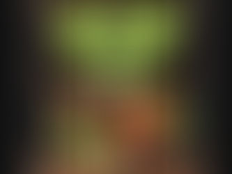 Uncle Harry's Vegan Grill Partners with Fratelli Imports to Bring Natraburgers to Victoria