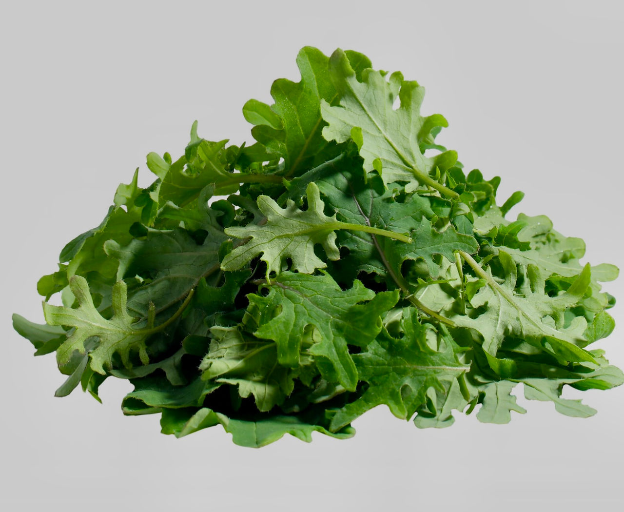 Greeneration leafy product