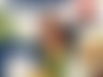 Savour_Auda_Finan_NZ_Food_Awards
