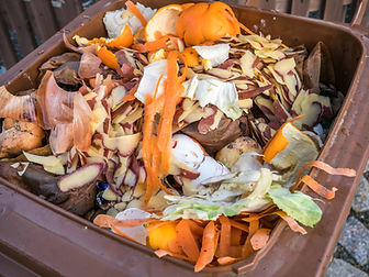 Restaurant food scraps