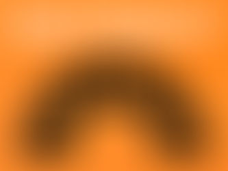 New Zealand's Food Nation Closes Its Doors After Four Years of Plant-Based Passion