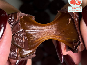 Dr Drain Goes To Fortnums To Talk About His Cocoa Free Chocolate