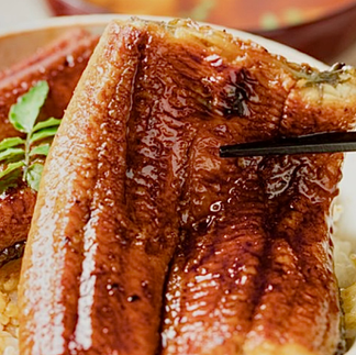 Forsea Foods -Cultured Eel 