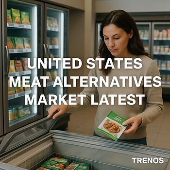 US Meat Alternatives Market Visual Media