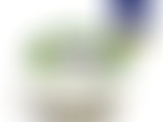 Julienne Bruno Plant-Based Cheese Trimuphs with Gold at Great British Food Awards