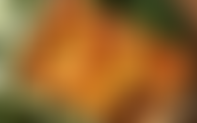 Fascin8Foods Slider with a selection of dishes using the FROOM range.