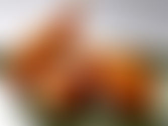 Plant-based chicken drumsticks with tastilux