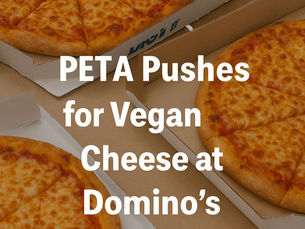 PETA Vegan Cheese at Dominos