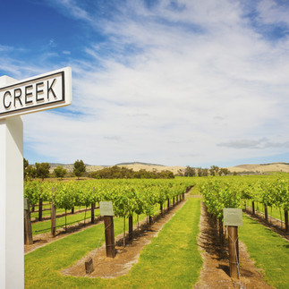 Jacob Creek - Australian Wine Icon