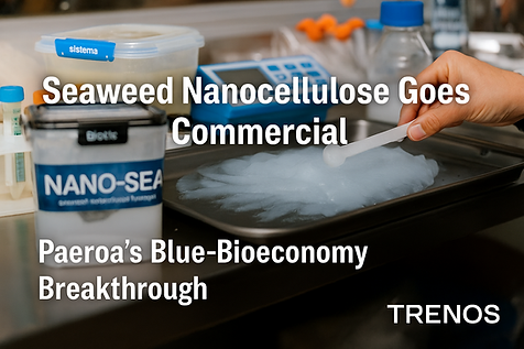 NanoSea Nanocellulose Vosual Mednia